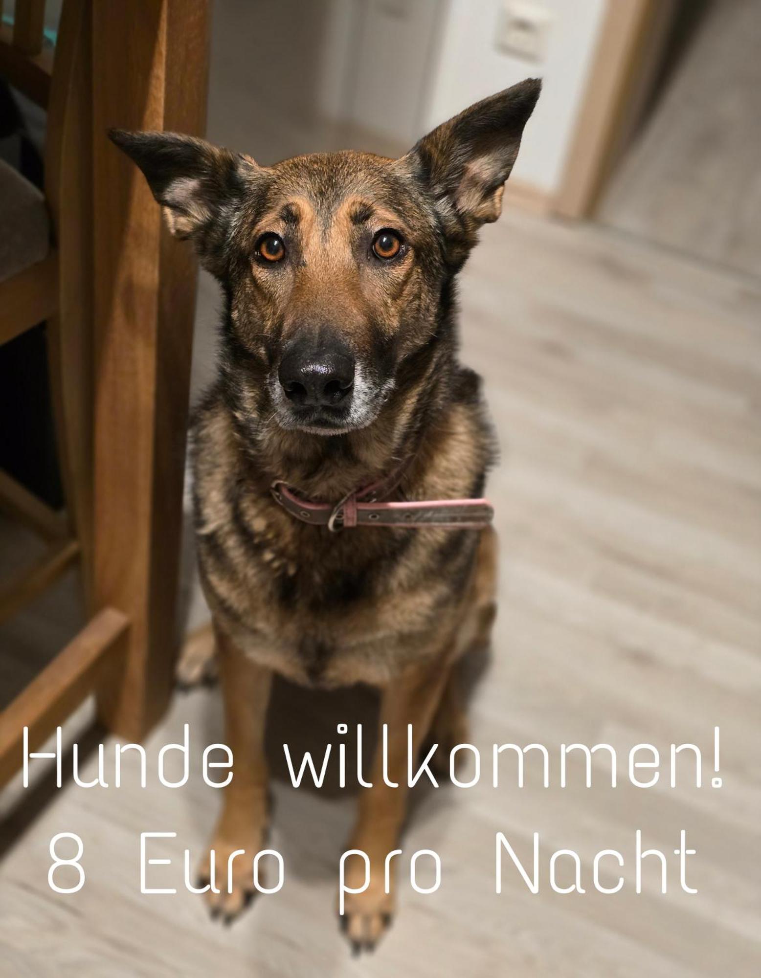 Ferienwohnung Roessewiese Schleusingen Exteriör bild